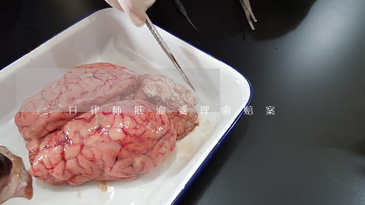 日律师抵渝受理索赔案 日律师抵渝受理索赔案