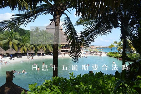 日息千五逾期费合法吗 日息千五逾期费合法吗