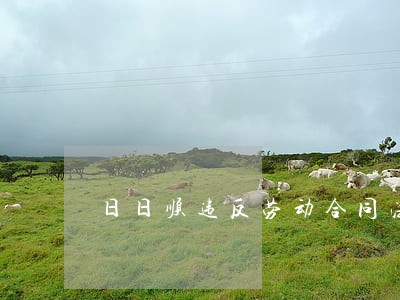 日日顺违反劳动合同法 日日顺违反劳动合同法