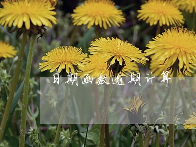 日期函数逾期计算 日期函数逾期计算