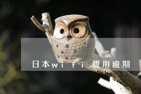 日本wifi费用逾期 日本wifi费用逾期