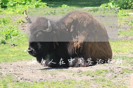 日本人在中国签证逾期 日本人在中国签证逾期