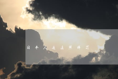 日本人违法照样罚