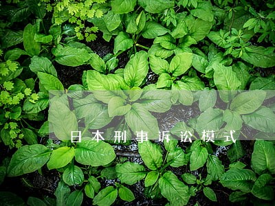 日本刑事诉讼模式 日本刑事诉讼模式