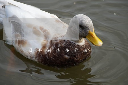 日本刑法施行法 日本刑法施行法