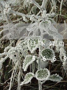 日本劳动法相关解析/2023021375669 日本劳动法相关解析/2023021375669