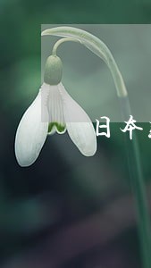 日本听音乐违法