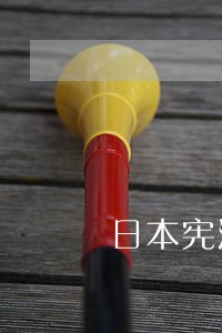 日本宪法的发展及其战后特点 日本宪法的发展及其战后特点