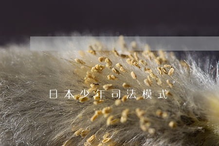 日本少年司法模式 日本少年司法模式