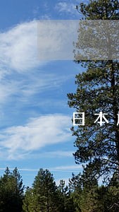 日本旅游签证还款逾期 日本旅游签证还款逾期