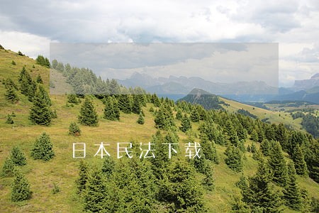 日本民法下载 日本民法下载