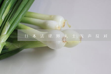 日本法律界人士发声反对修宪势力 日本法律界人士发声反对修宪势力