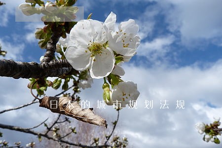 日本的城市规划法规 日本的城市规划法规