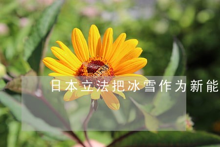 日本立法把冰雪作为新能源 日本立法把冰雪作为新能源