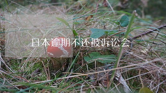 日本逾期不还被诉讼会 日本逾期不还被诉讼会