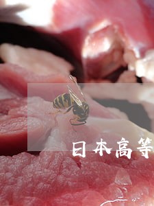 日本高等知识产权法院人事的独立 日本高等知识产权法院人事的独立