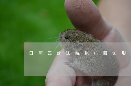 日照五莲法院执行回访形成制度化
