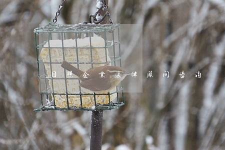 日照企业法律顾问咨询 日照企业法律顾问咨询