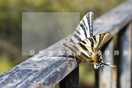 日照企业法律顾问律师所