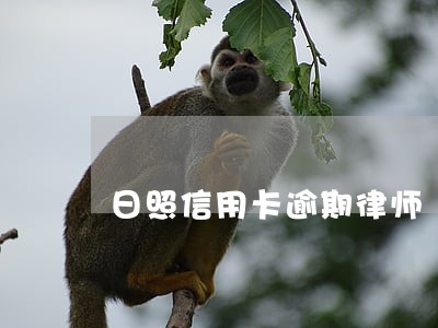 日照信用卡逾期律师 日照信用卡逾期律师