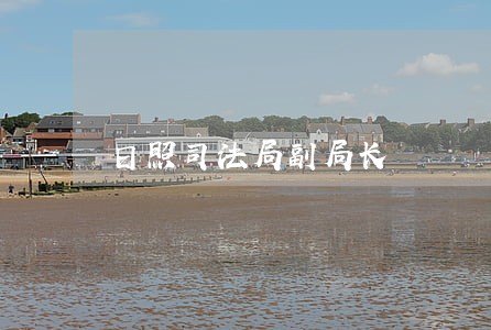 日照司法局副局长 日照司法局副局长