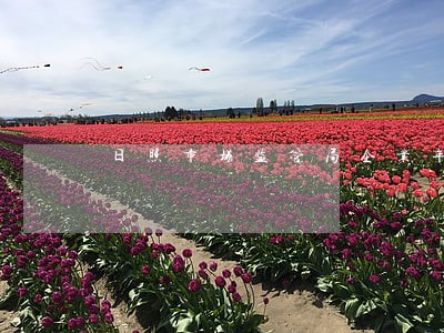 日照市场监管局企业年报逾期 日照市场监管局企业年报逾期