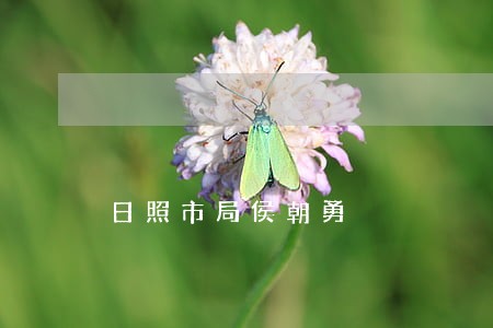 日照市局侯朝勇