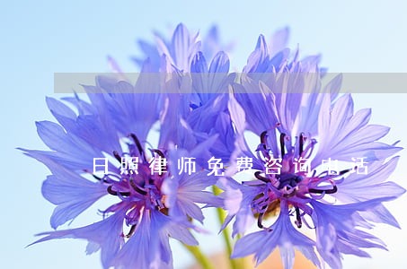 日照律师免费咨询电话 日照律师免费咨询电话