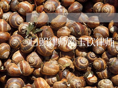 日照律师隋玉钦律师 日照律师隋玉钦律师
