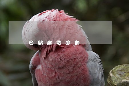 日照房贷逾期 日照房贷逾期