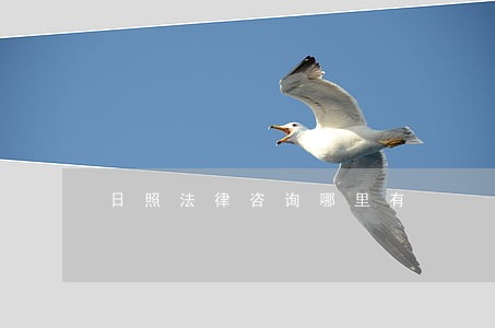 日照法律咨询哪里有 日照法律咨询哪里有