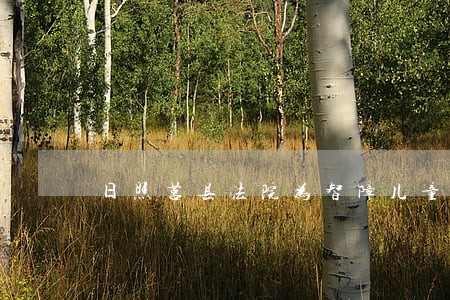 日照莒县法院为智障儿童献爱心 日照莒县法院为智障儿童献爱心