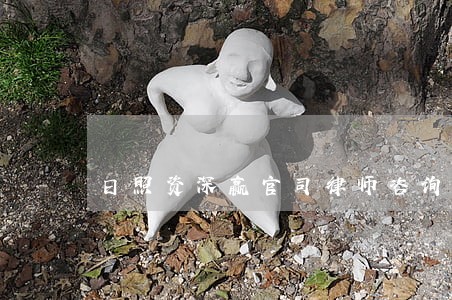 日照资深赢官司律师咨询 日照资深赢官司律师咨询