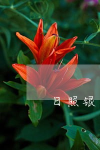 日照银行信用卡逾期一天会怎样