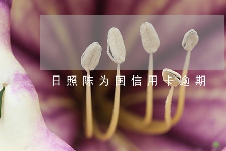 日照陈为国信用卡逾期