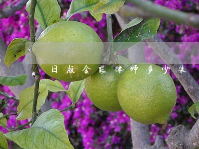 日版金装律师多少集 日版金装律师多少集