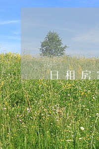 日租房家庭旅馆违法吗 日租房家庭旅馆违法吗