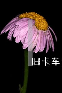 旧卡车逾期名单 旧卡车逾期名单