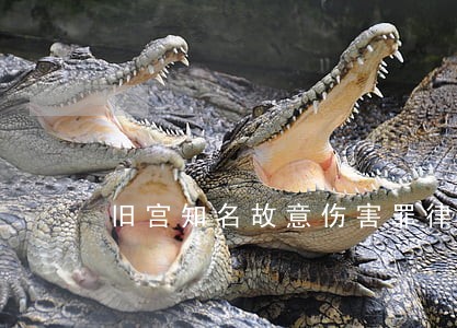 旧宫知名故意伤害罪律师价格 旧宫知名故意伤害罪律师价格
