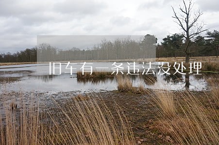 旧车有一条违法没处理 旧车有一条违法没处理