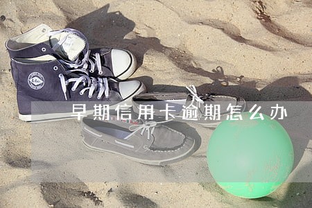 早期信用卡逾期怎么办 早期信用卡逾期怎么办