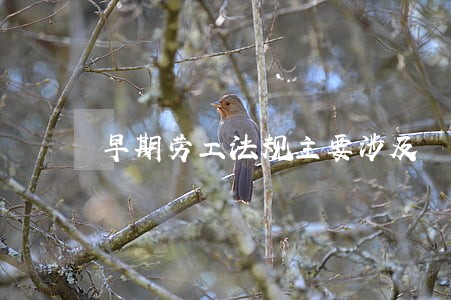 早期劳工法规主要涉及