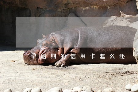 早逾期的信用卡怎么还