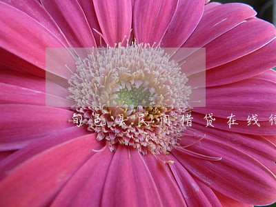 旬邑县民间借贷在线律师咨询