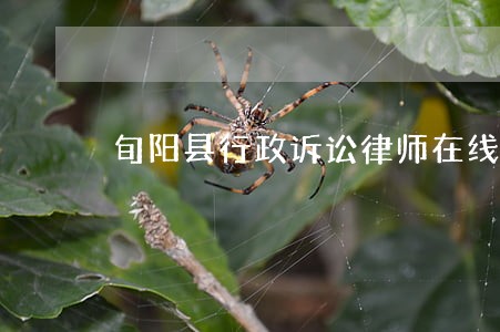 旬阳县行政诉讼律师在线免费咨询 旬阳县行政诉讼律师在线免费咨询