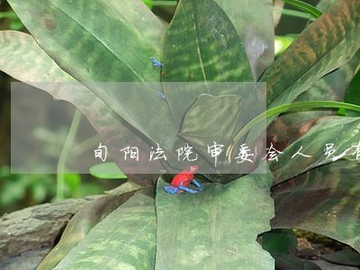 旬阳法院审委会人员有几个 旬阳法院审委会人员有几个