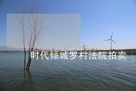 时代倾城罗村法院拍卖 时代倾城罗村法院拍卖