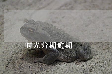 时光分期逾期