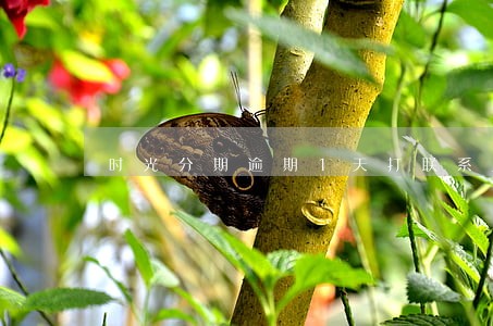 时光分期逾期1天打联系人 时光分期逾期1天打联系人