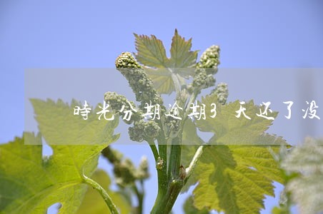 时光分期逾期3天还了没事吧 时光分期逾期3天还了没事吧